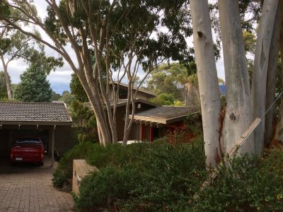 Maroondah Neighbourhood Character Study Review 2019 yoursay page photo